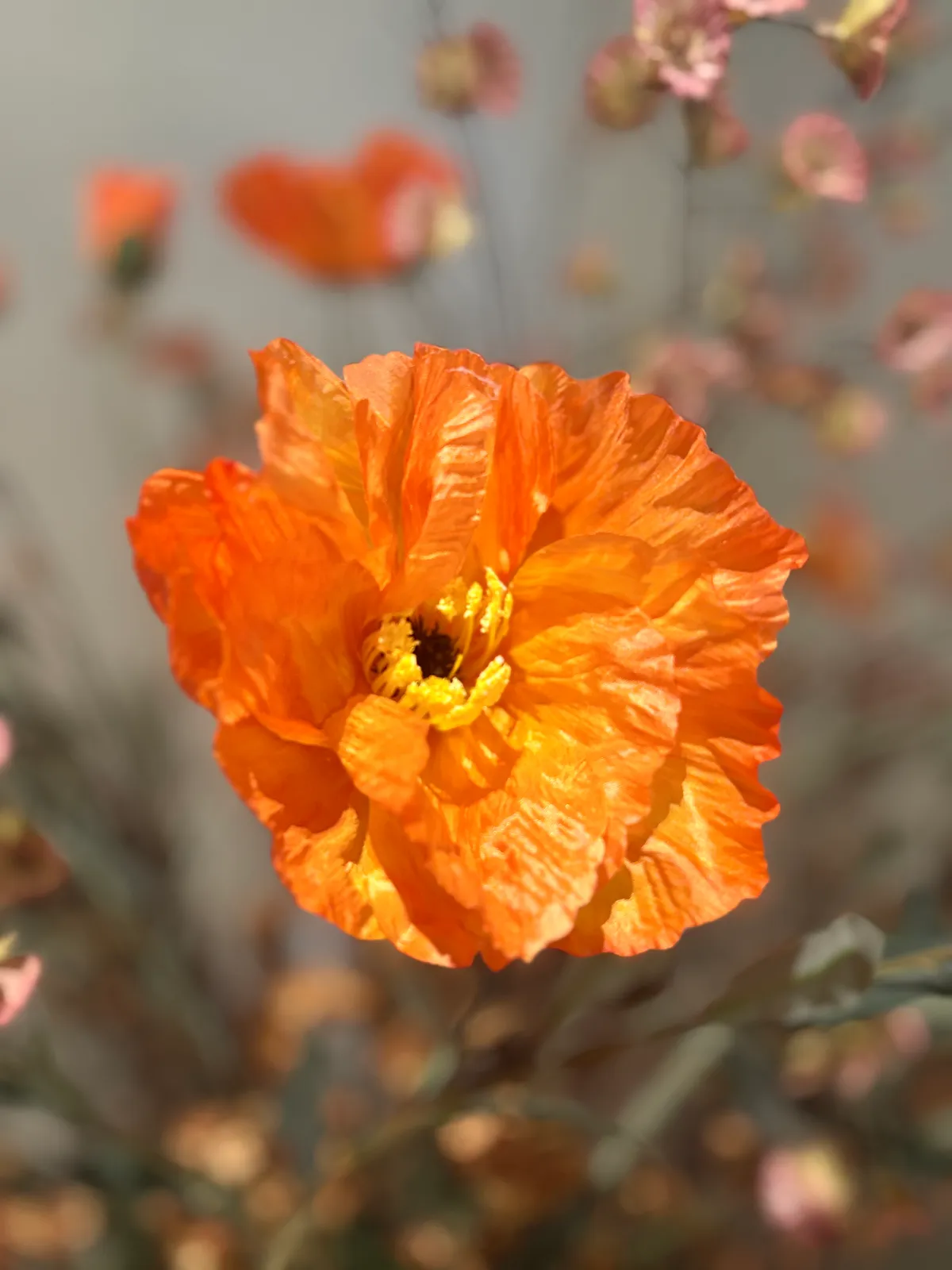 Flexibel maatwerk | SYLXZ