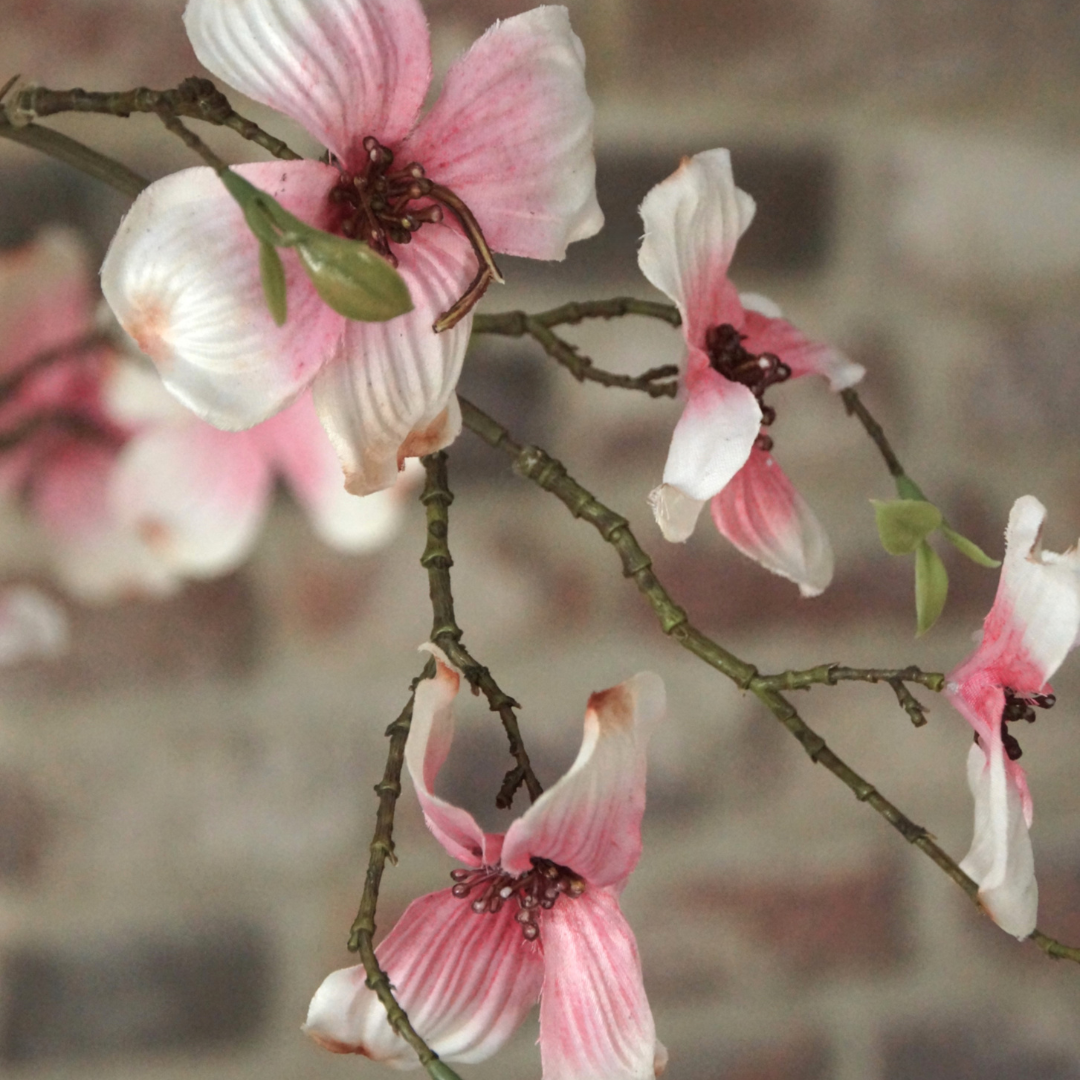 Flexibel maatwerk | SYLXZ